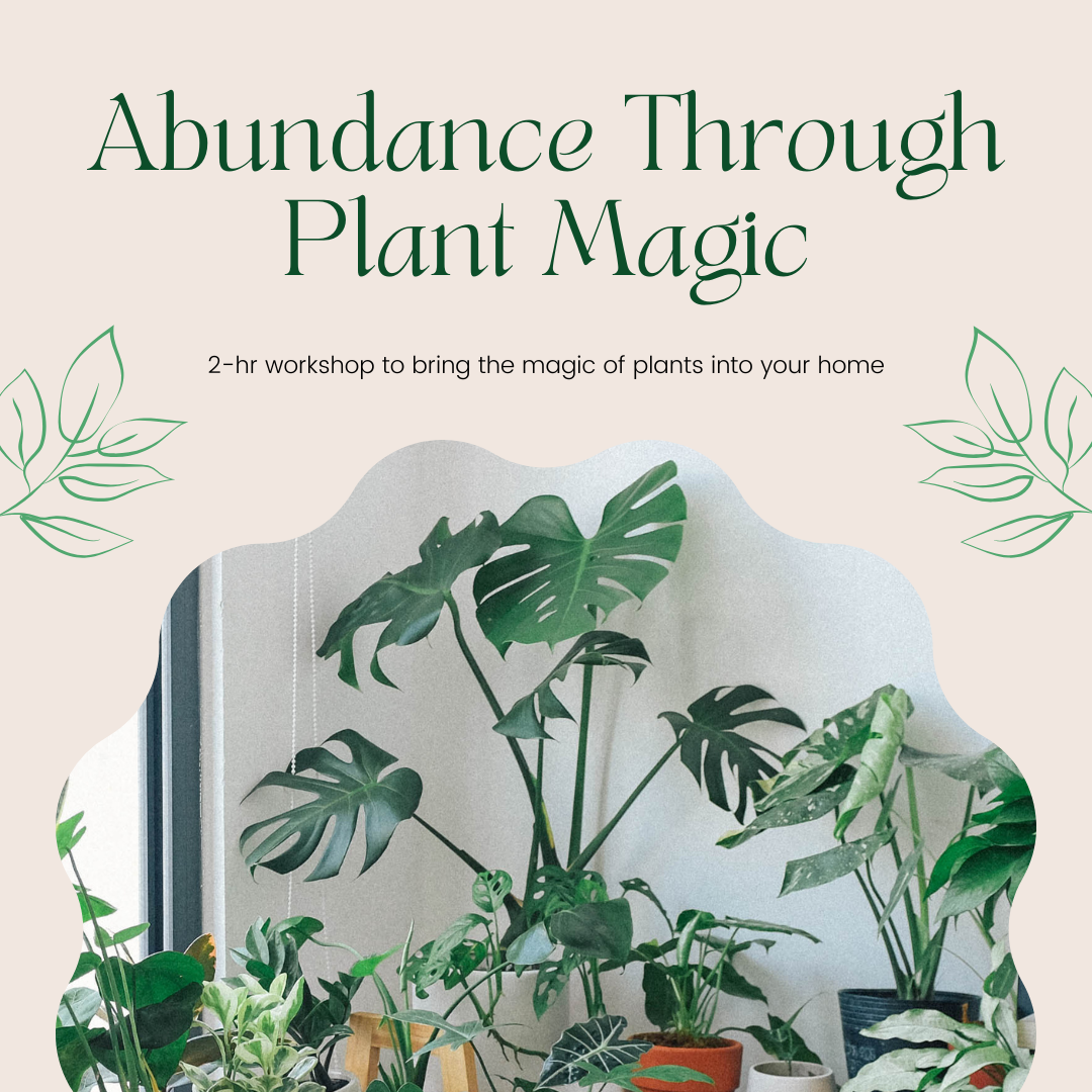 Abundance Through Plant Magic Workshop