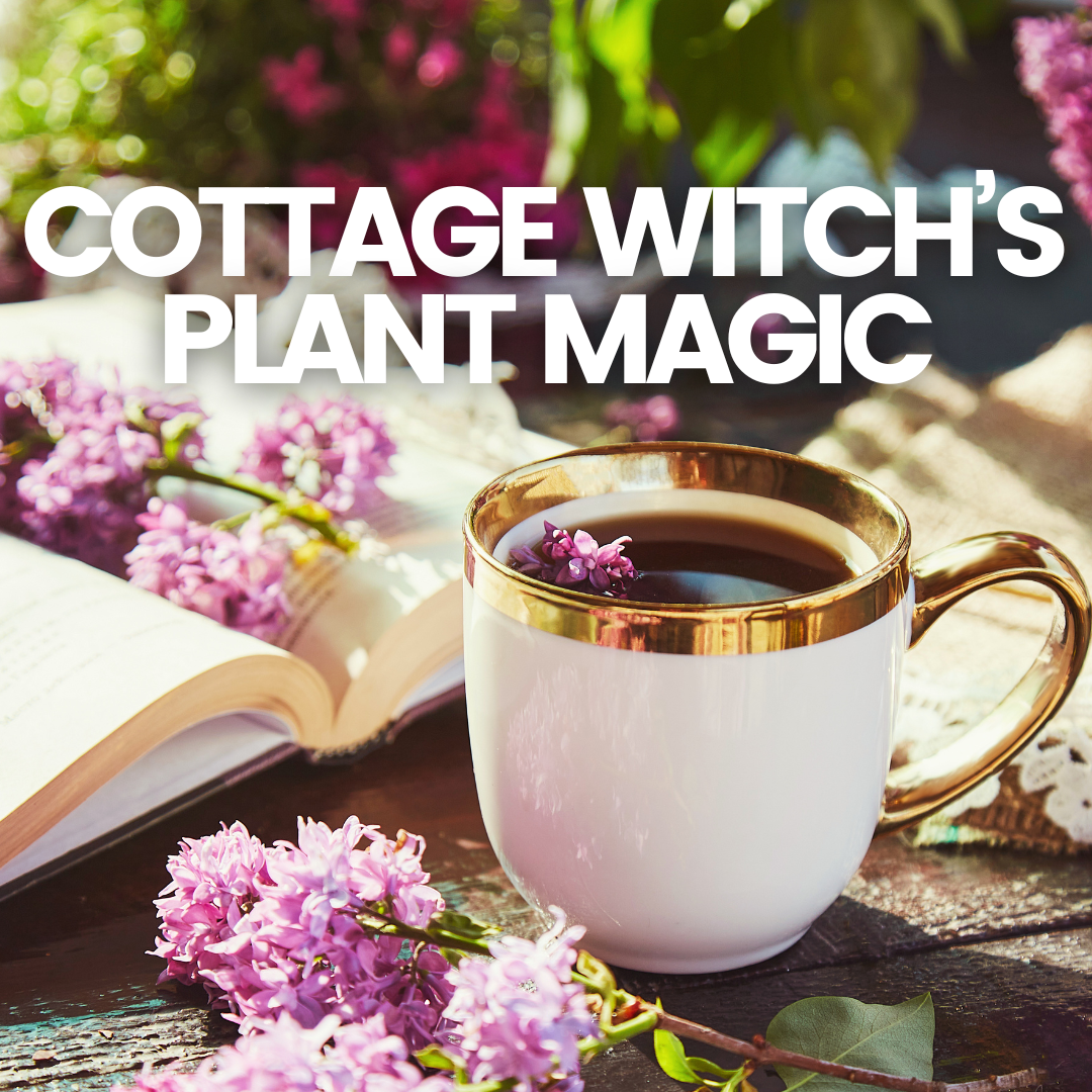 Cottage Witch's Plant Magic