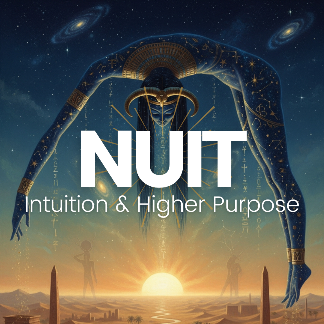 Nuit's Intuition