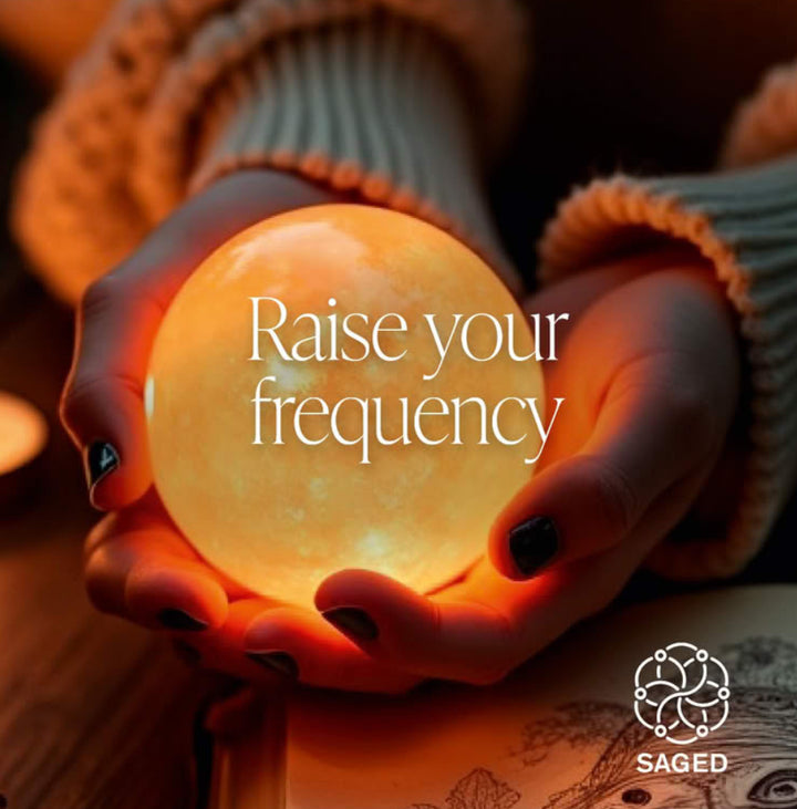 66% off Saged Premium!