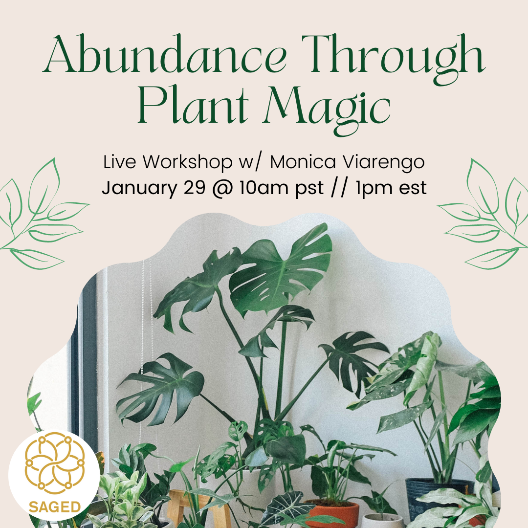 Abundance Through Plant Magic Workshop