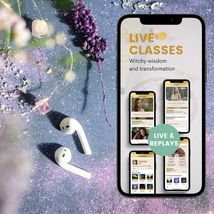 66% off Saged Premium!